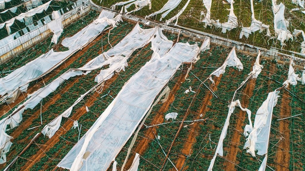 Antalya’da fırtına ve hortum sebze fiyatlarını etkileyecek!