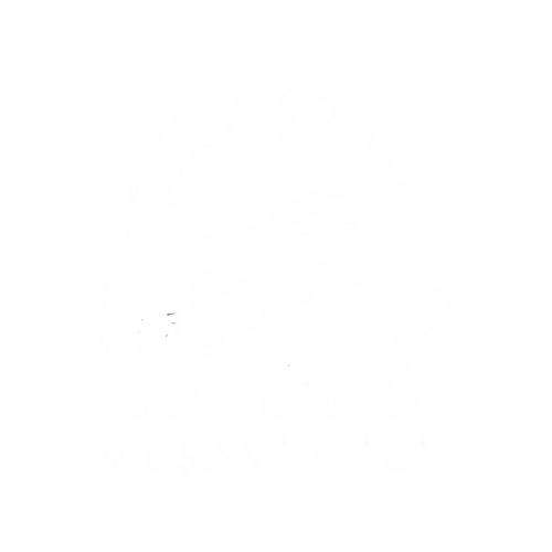 Yüksek Gümrük Müşavirliği