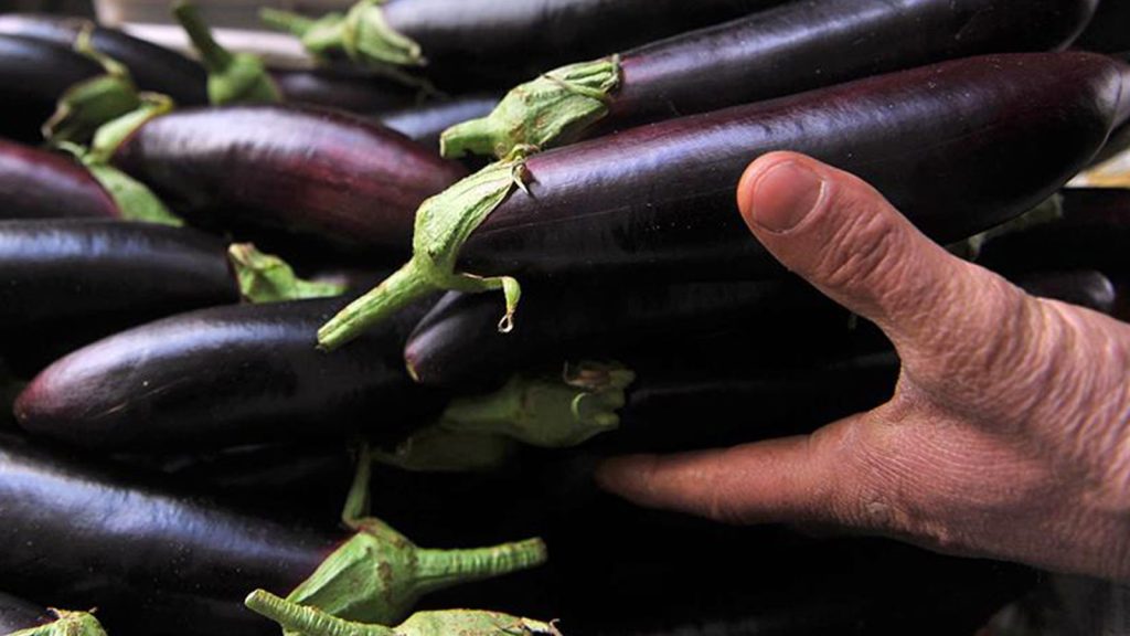 İstanbul’da kasım ayında en çok patlıcan pahalandı
