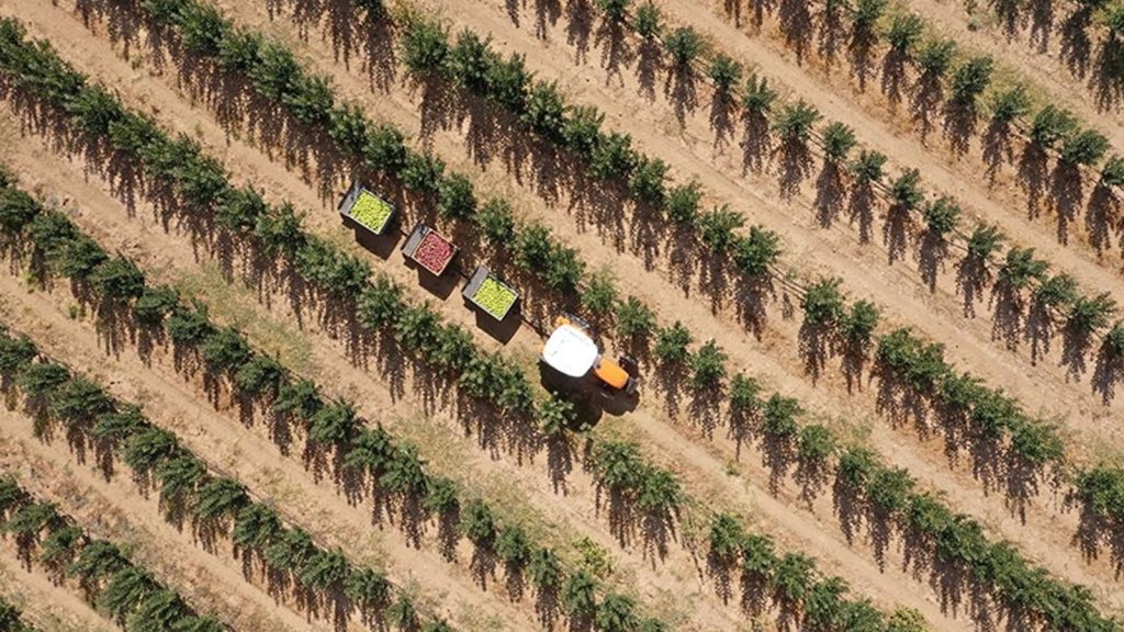 IPARD Programı kapsamında çevre dostu ve yenilenebilir enerjiye teşvik