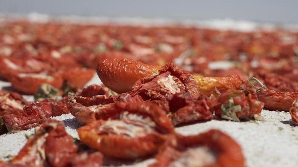 Kuru domates ihracatı 127 milyon doları aştı