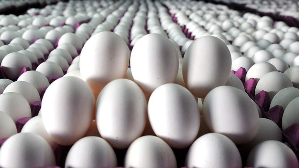 Yum-Bir Başkanı açıkladı… Ramazan öncesi yumurtada son durum