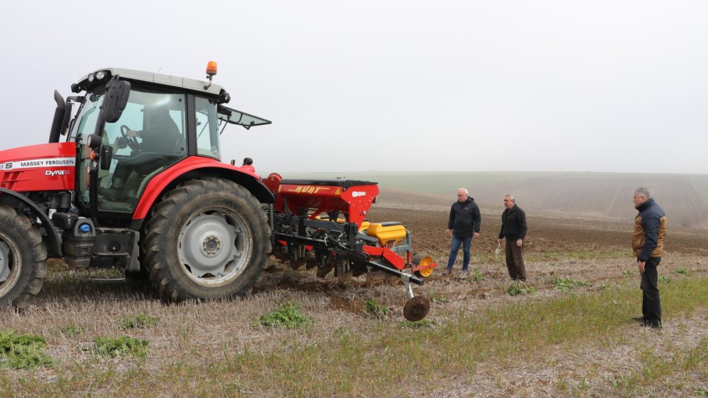 Ayçiçeğinin kuraklığa karşı dayanıklılığı test ediliyor