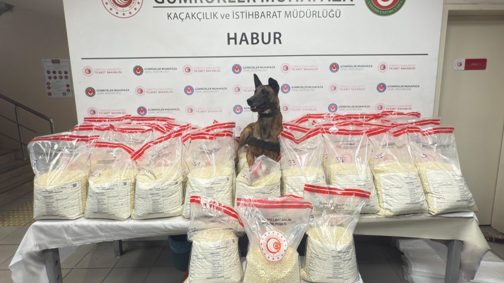 Gümrük muhafaza ekipleri, 2 ayda 8,1 milyar liralık ticari eşya ve uyuşturucu ele geçirdi