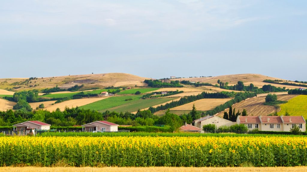 Görmeden kaporanın sonu hüsran, arsa tuzağına düşmeyin!