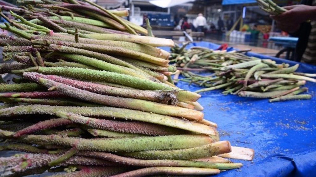 Köylülerin doğal reçetesi… Sadece 1 ay yetişiyor! Kilosu en az 250 liradan satılıyor
