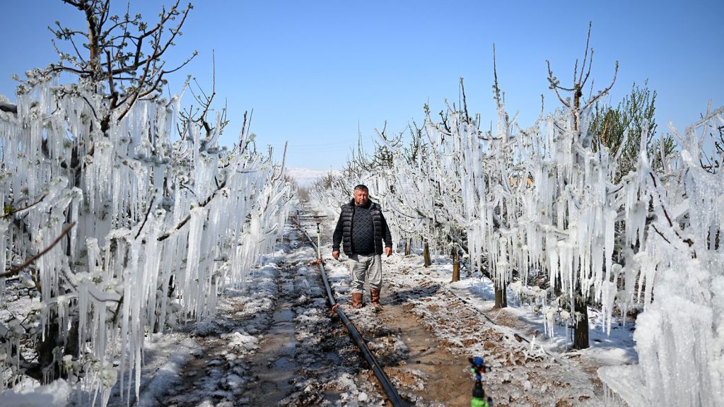 TZOB Genel Başkanı Bayraktar’dan ‘zirai don’ çağrısı: Nakit yardımı, girdi desteği, borç erteleme, yeni krediler…