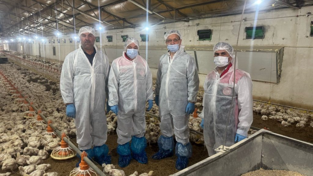 Erzincan’da işleniyor, dünyaya ihraç ediliyor