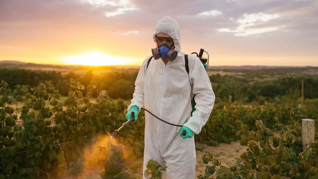 Gelecek nesiller tehlikede! Endişe veren pestisit karnesi