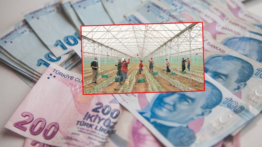 Samsun’da tarım işçilerinin günlük yevmiyesi belli oldu