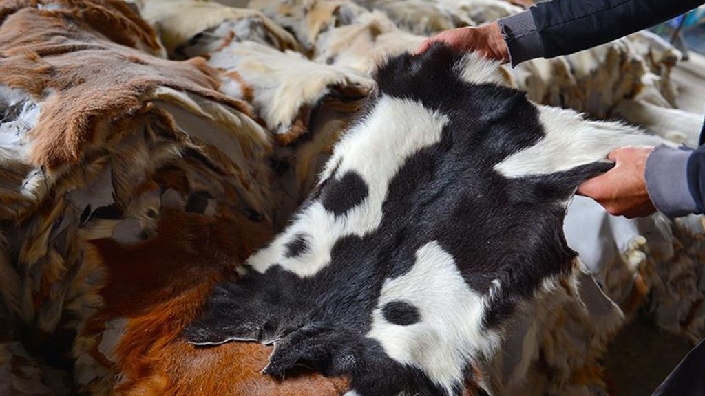 Deri sektörüne 20 milyar TL’lik ‘kurban’ katkısı