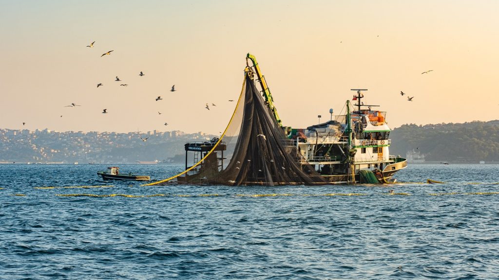 Sofralardan eksilebilir! Deniz ürünlerine sıcak darbesi