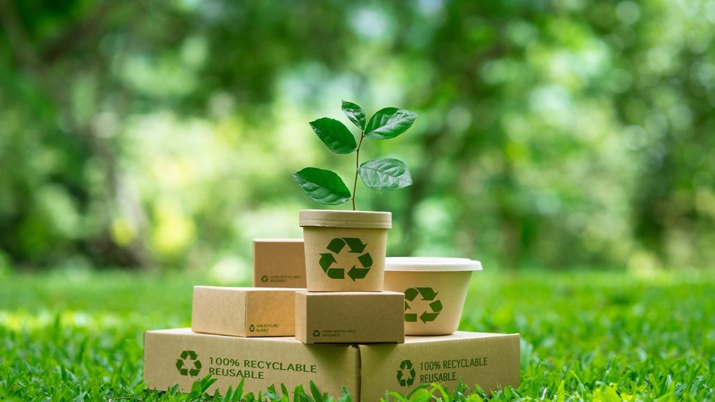 Tüketim değil, kalıcı kullanım