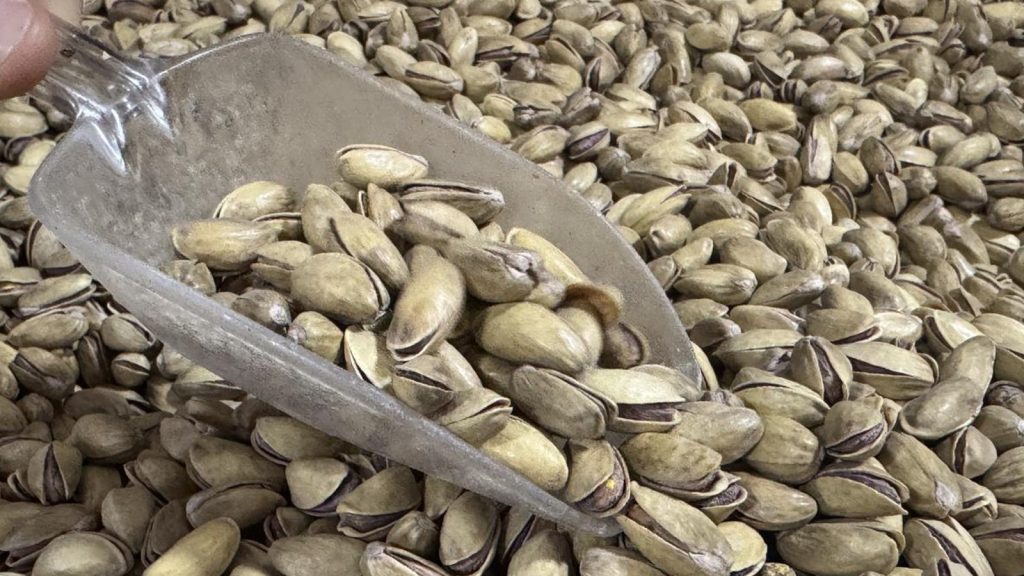 Antep fıstığı ihracatı yılın ilk yarısında yüzde 17 arttı