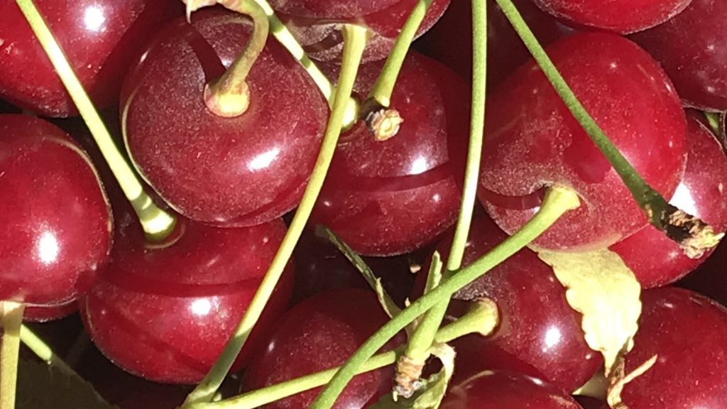 Kilo fiyatı 125 liraya geriledi! Yaz meyvesinde kalite fiyatı etkiledi