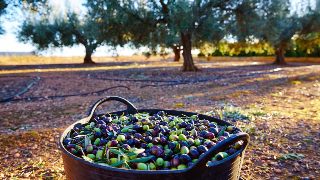 Sofraya maliyeti olabilir! ‘Yeşil Mutabakat’a  hazır mıyız?