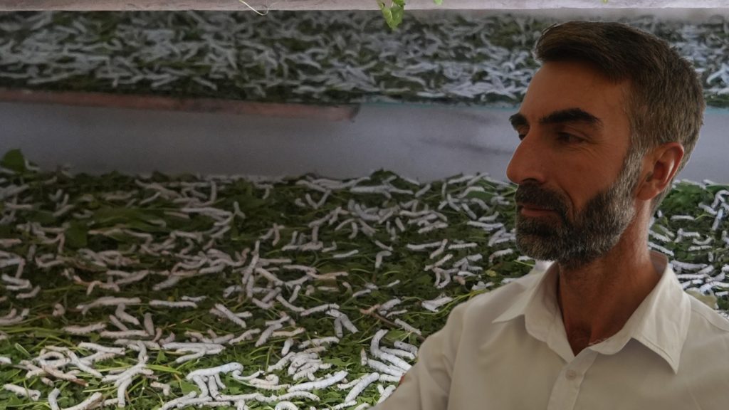 Tepkilere aldırmayıp böcek işine girdi köşeyi döndü! Kilo fiyatı 1400 lira