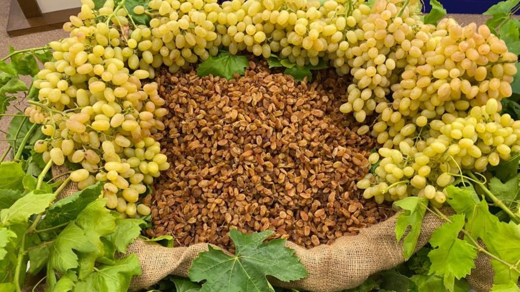 Türkiye’de kuru üzüm rekoltesinin düşmesi Avrupa’yı vurdu