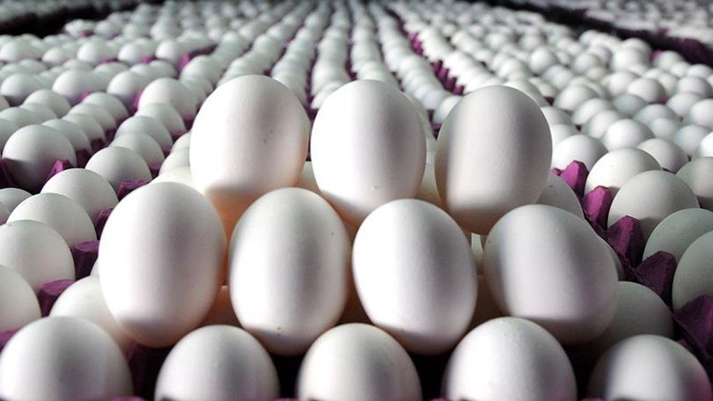 Yumurta israfının önlenmesine yönelik düzenleme yapıldı