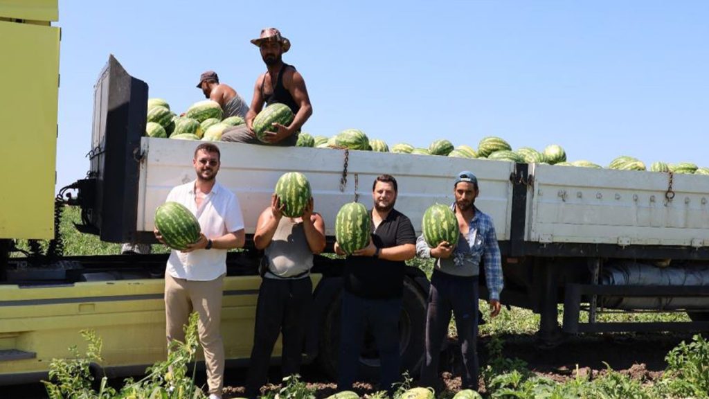 Karpuz üreticisi mutsuz; tarlada 2, markette 8,5 TL