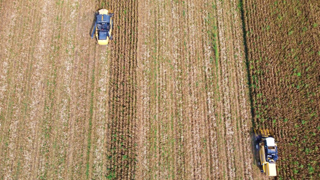 Mısırda 463 bin ton rekoltenin beklendiği Osmaniye’de biçerdöverler tarlalara girdi