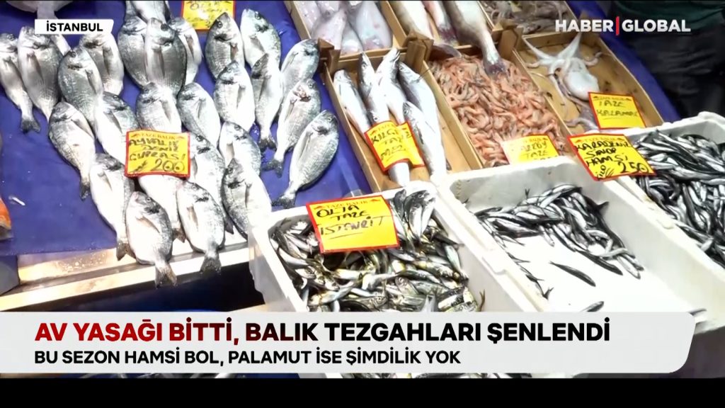 Balıkçılar “vira bismillah” dedi: Av yasağı sona erdi, balık tezgahları şenlendi