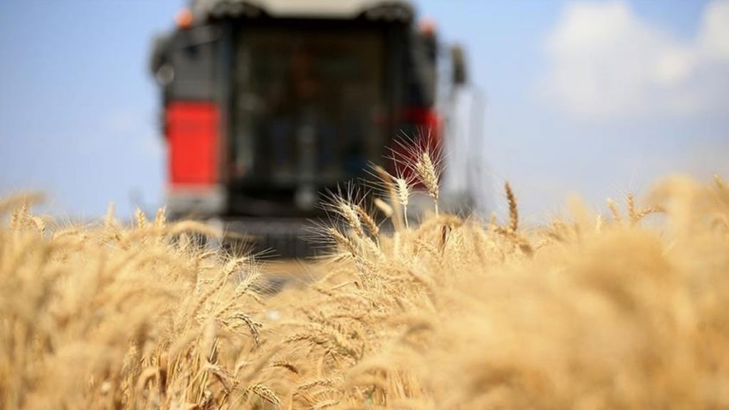 FAO ve Türkiye’den tarım politikalarını güçlendirecek yeni proje