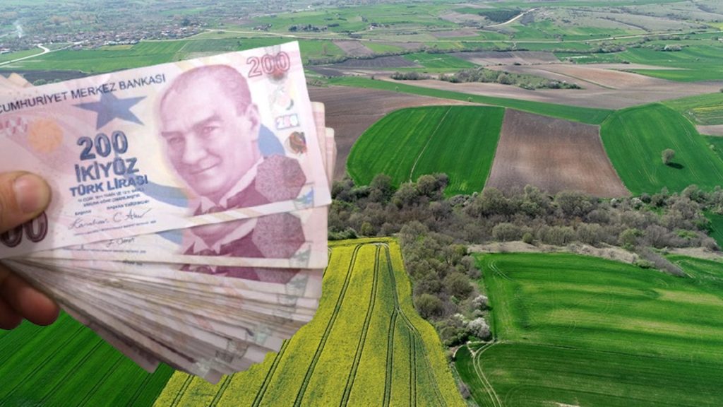 Ev hayali kuranlar dikkat! Arsa fiyatı en ucuz olan iller belli oldu! Metrekare fiyatı şok etti