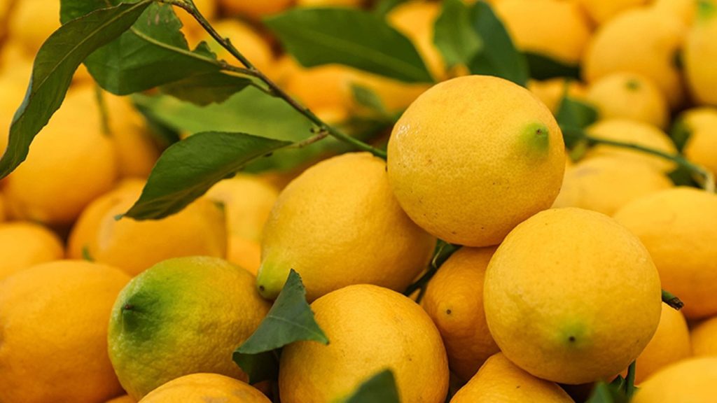 2025 yılında market ve üreticide en çok limon pahalandı