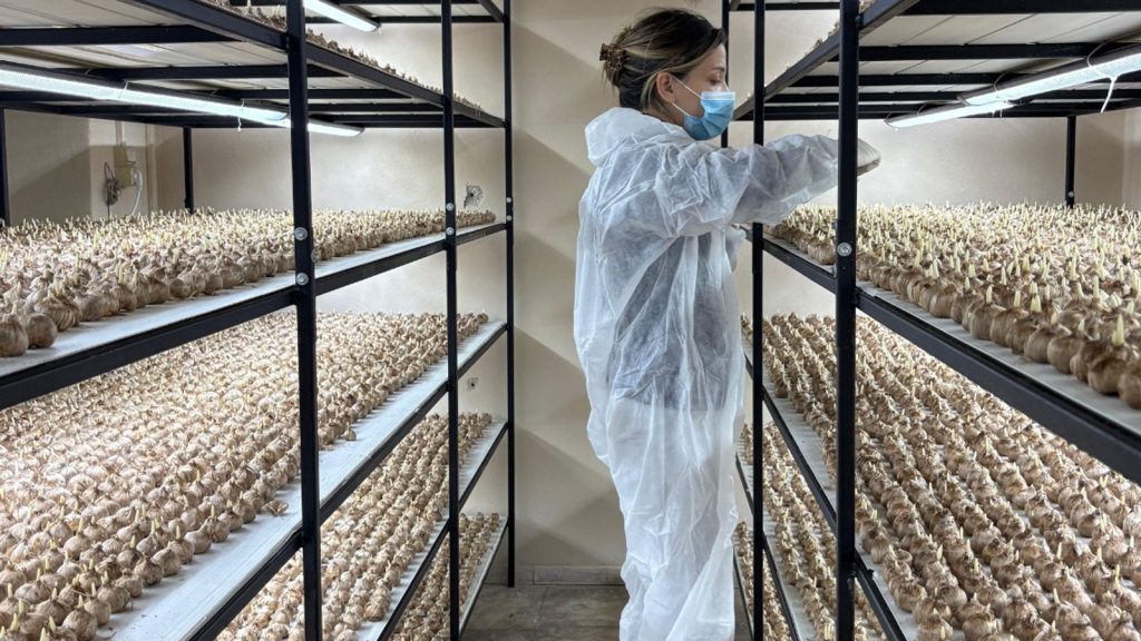 Mesleğini bıraktı, 50 metrekarede üretime başladı: Gramı 700 TL!