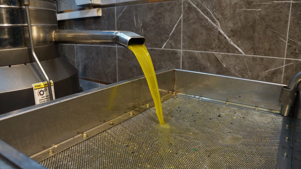 Son bir ayda yüzde 35 zam! Zeytinyağı fiyatları arttı