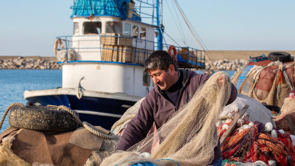 Yakıt ve işçilik ucuz, balıkçılar Afrika’da ne yapıyor?