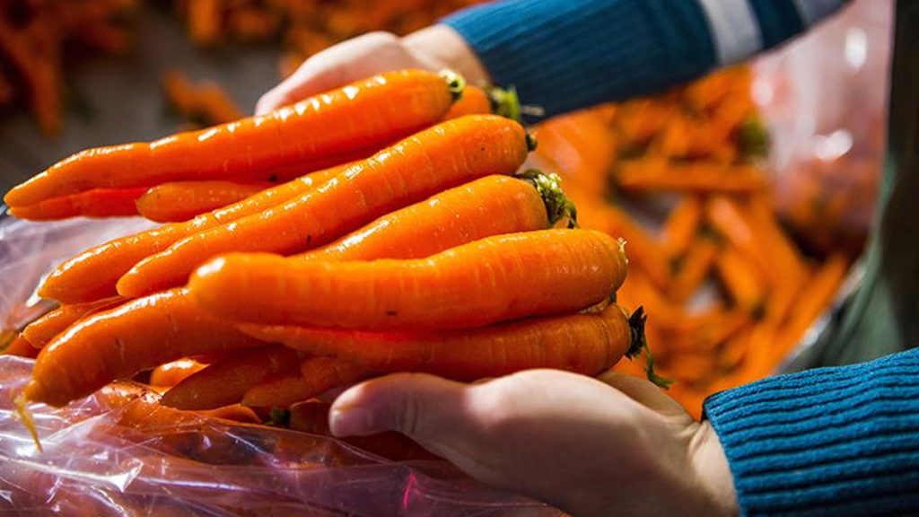 Bayraktar: “Ocak ayında üretici ve market arasındaki fiyat farkı en fazla yüzde 278,1 ile havuçta görüldü”