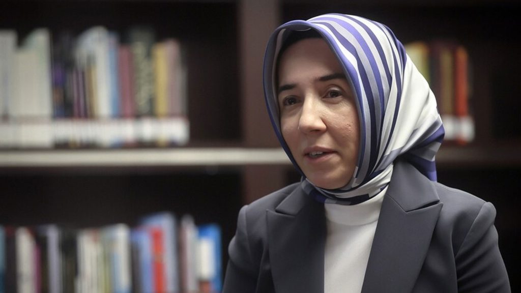 TCMB Başkan Yardımcısı Karahan: Her şok müdahale gerektirmez