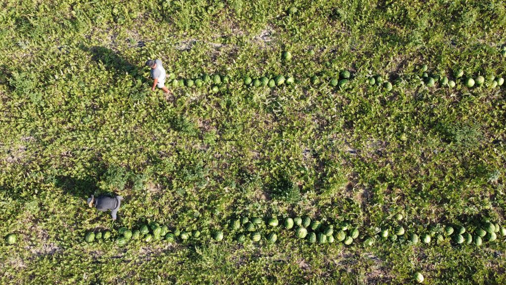 Fiyatı 1 TL’ye kadar düşmüştü! O hamleyle değeri arttı: 25 kat daha fazla kazandırıyor!