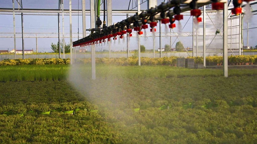 48,8 milyon metrekare arazi tıbbi ve aromatik bitki yetiştirilmek üzere kiralandı